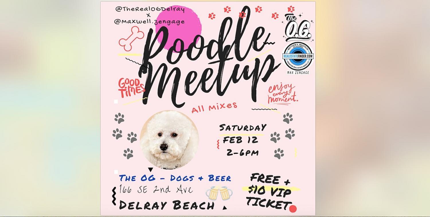 Delray Poodle Valentine's Meetup @ The OG