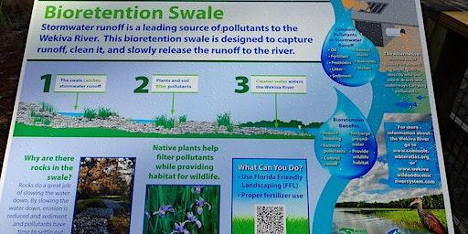 Wilson's Landing - Bioretention Swale TLC & Invasive Plant Removal