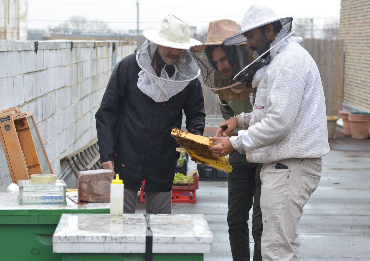 Intro to Backyard Beekeeping
