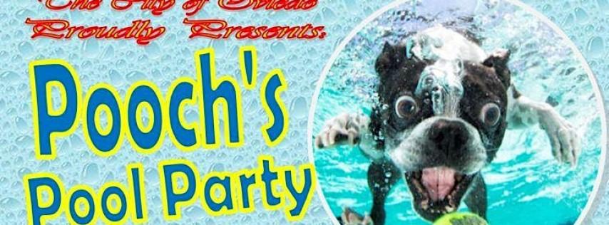 Pooch's Pool Party!