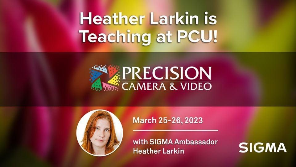 Heather Larkin is Teaching at PCU!