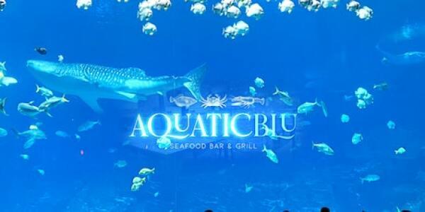 NEW EXPERIENCE!  BIG LUXURY FISH TANK NIGHTCLUB WITH SEAFOOD BAR & HOOKAH