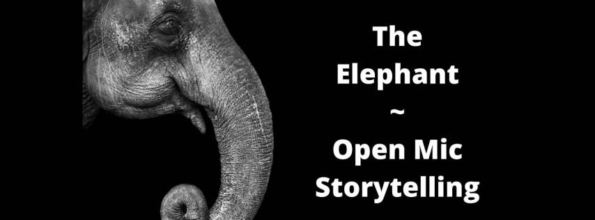 The Elephant @FGCU ~ Open Mic Storytelling ~ Theme: Spooked