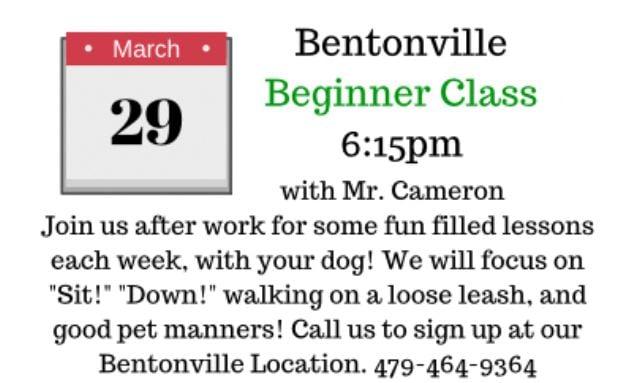 Bentonville Beginner Class