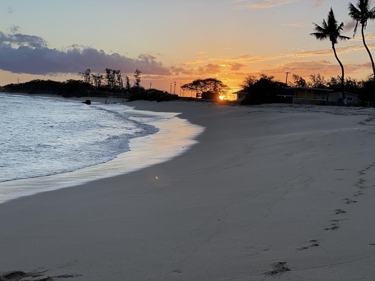 Private Beach Cabana Experience on Secluded Sandy Beach
Sun Nov 6, 9:00 AM - Sun Nov 6, 7:00 PM
in 2 days