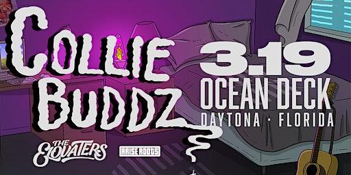COLLIE BUDDZ w/ The Elovaters & Arise Roots - Daytona (Direct Oceanfront)