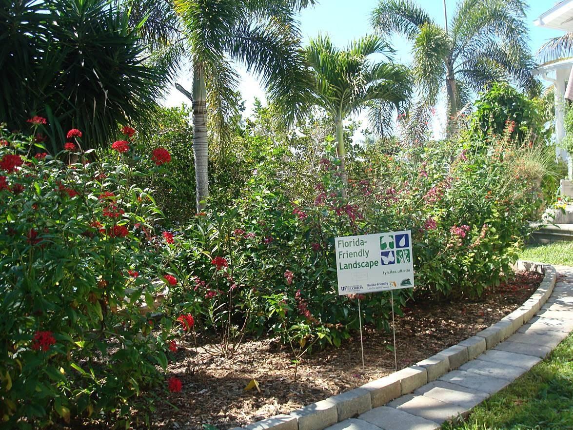 Basics of Florida Friendly Gardening 2022
Thu Oct 27, 1:00 PM - Thu Oct 27, 3:00 PM
in 8 days