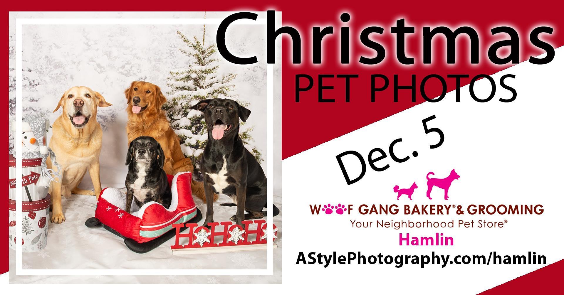 Christmas Pet Photo Day Woof Gang Bakery Hamlin