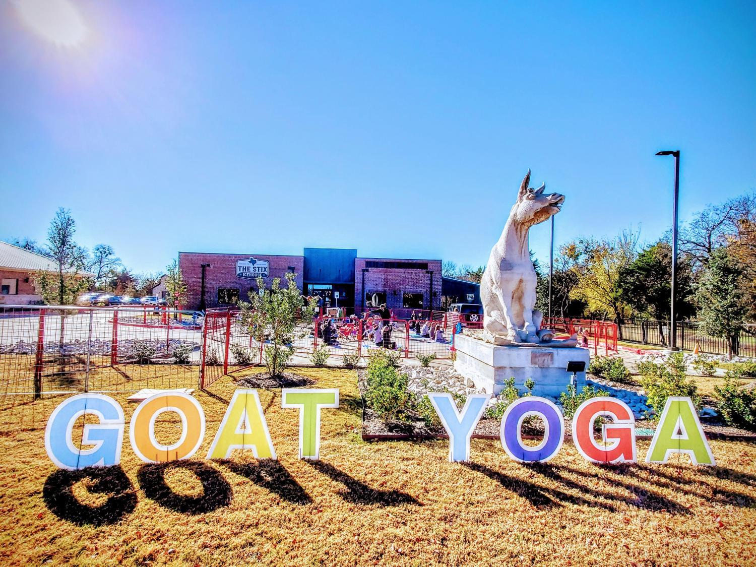 Valentines Goat Yoga @ The Stix Icehouse!