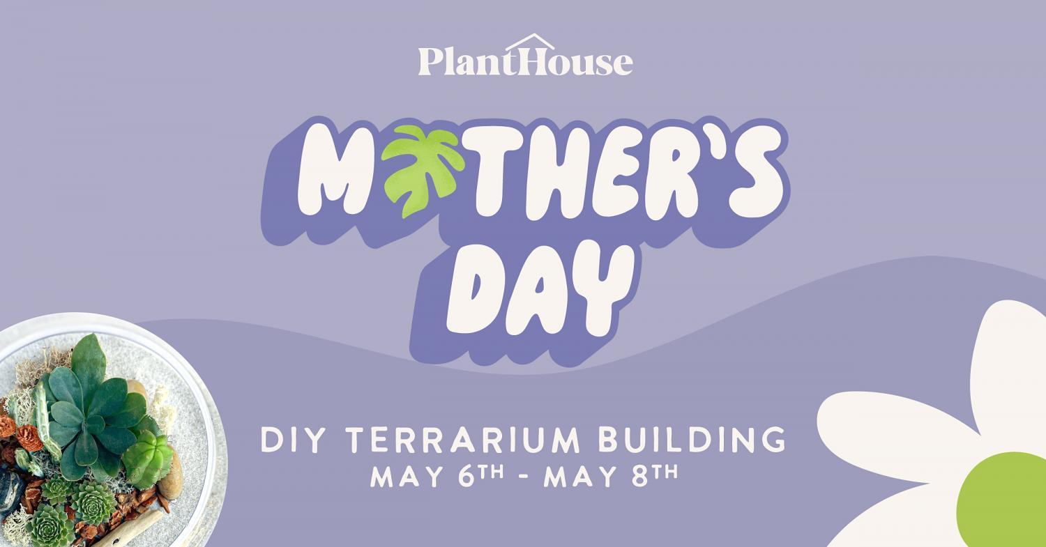 Mother's Day DIY Terrarium Building Reservations at PlantHouse