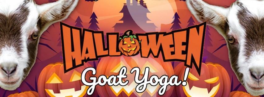 Halloween Baby Goat Yoga