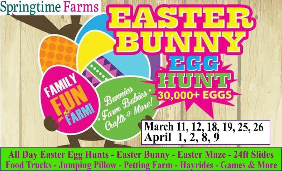 Easter Fest &amp; Non Stop Egg Hunt 30,000 Eggs, Tons of Activities for the Whole Family