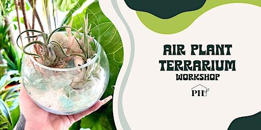 Air Plant Terrarium Workshop