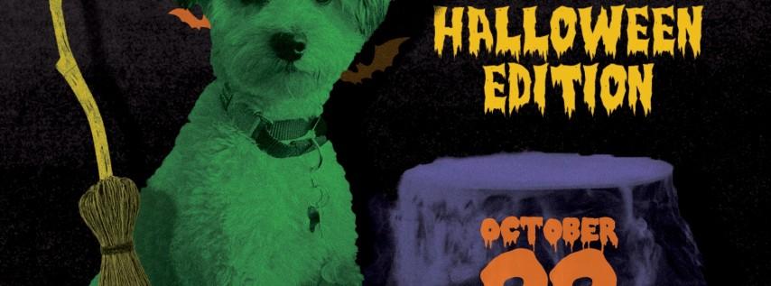 The Tiniest Dog Party in Texas: Halloween Edition
