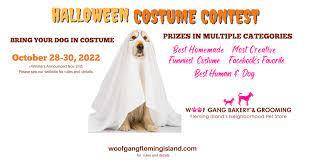 Halloween Costume Contest at Woof Gang Bakery & Grooming Fleming Island
Fri Oct 28, 9:00 AM - Sun Oct 30, 7:00 PM
in 8 days