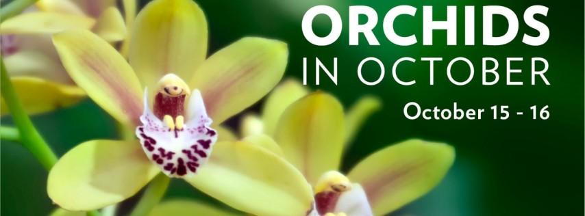 Fairchild’s Orchids in October Weekend