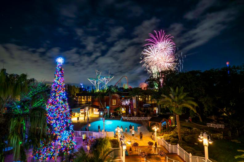 Busch Gardens Tampa Bay hosts New Year’s Eve celebrations