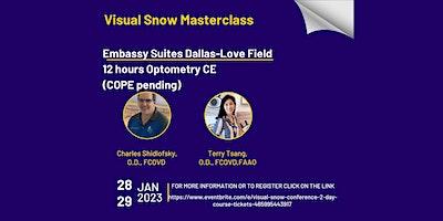 Visual Snow Masterclass - 12 Hour Optometry CE (COPE pending)
