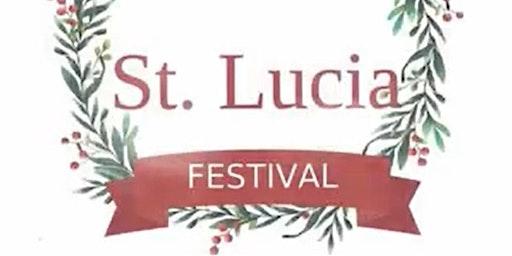 2022 St. Lucia Festival VIP Area