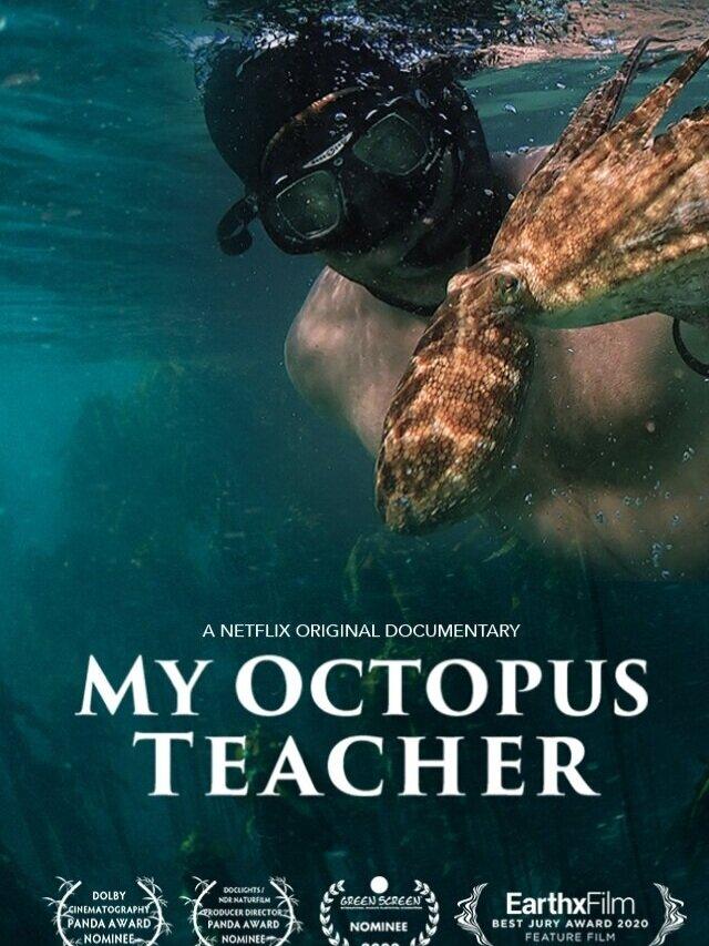 MY OCTOPUS TEACHER PANEL + FILM