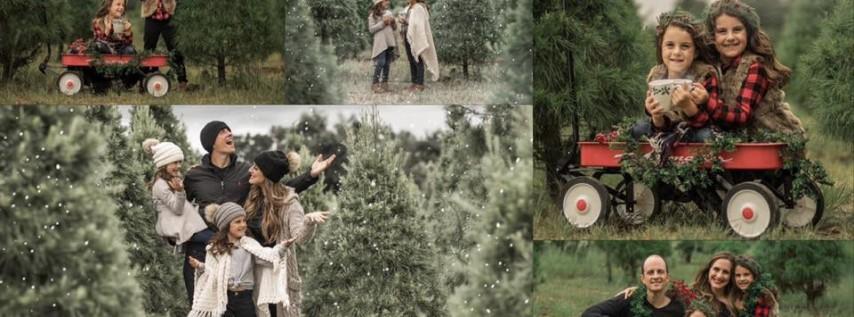 Christmas Tree Farm Photoshoots