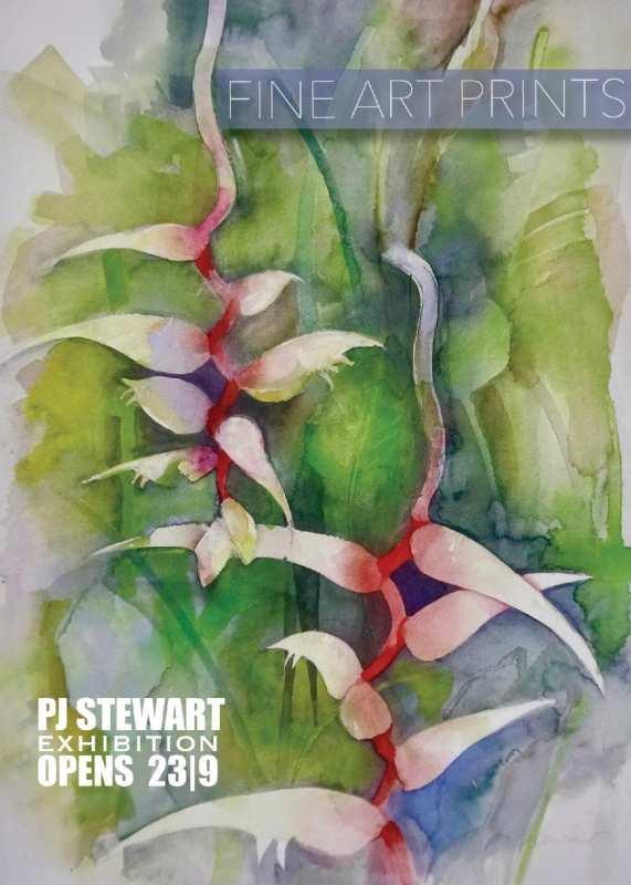 PJ Stewart Exhibition Opens This Thursday
