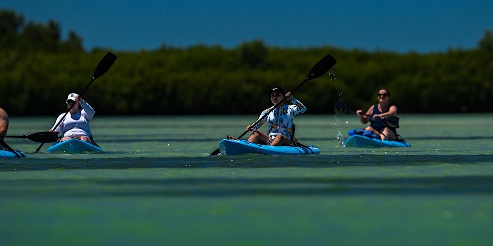 Kayak Day Tour at Shell Key with Capt Yak