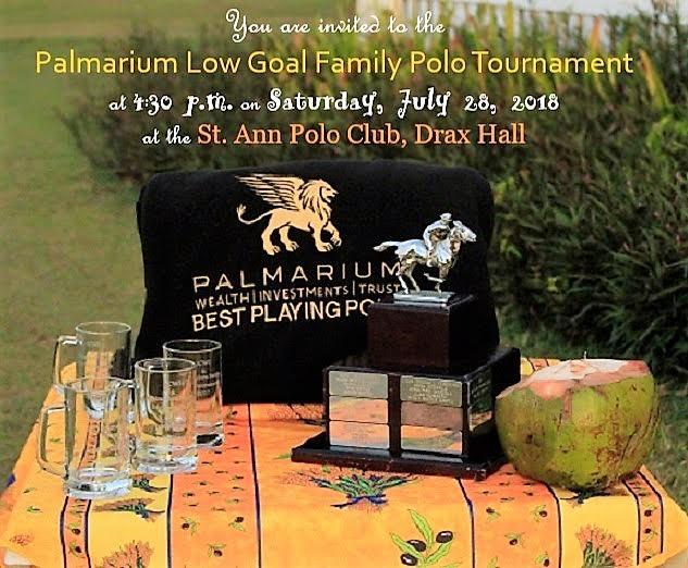 Palmarium Low Goal Family Polo Tournament