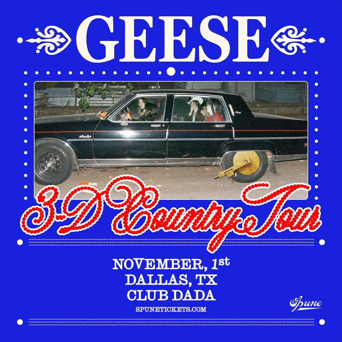 Geese w /  Winter | Dada