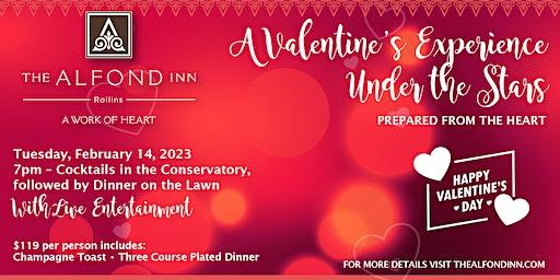A Valentine's Experience Under the Stars