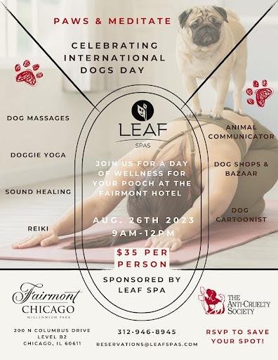 Paws & Meditate at Leaf Spa Chicago