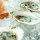 Enjoy $1 Oysters at MaryGold’s by Brad Kilgore